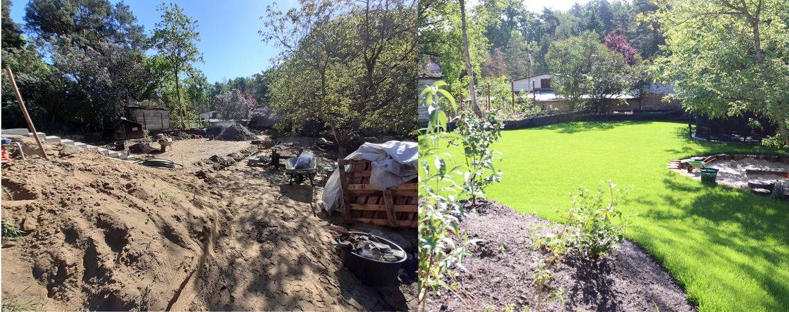 Rasenanlagen und Pflanzungen