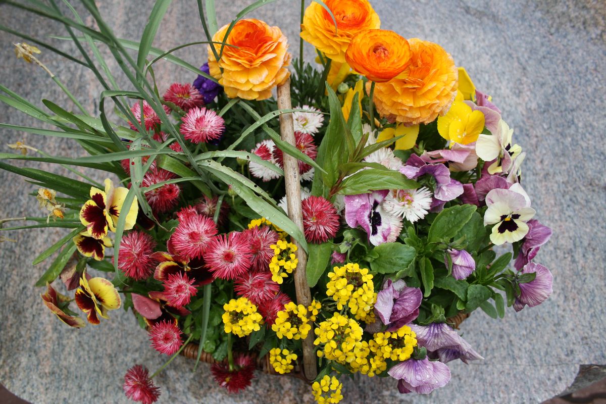 blume & co gärtnerei und floristik bei verden